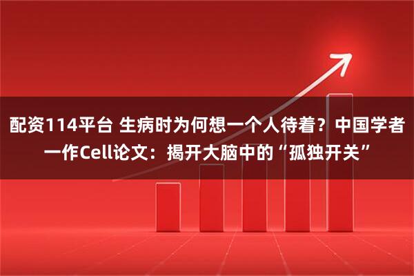 配资114平台 生病时为何想一个人待着？中国学者一作Cell论文：揭开大脑中的“孤独开关”