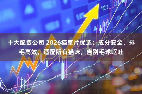 十大配资公司 2026猫草片优选:成分安全、排毛高效,适配所有猫咪,告别毛球呕吐