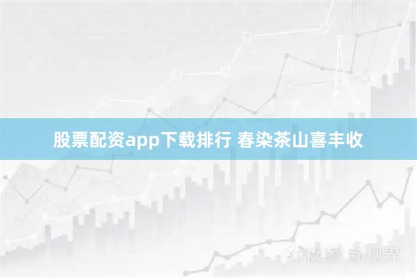 股票配资app下载排行 春染茶山喜丰收